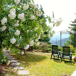  Couette-café Sb Italie
